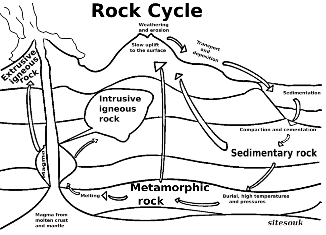 Science