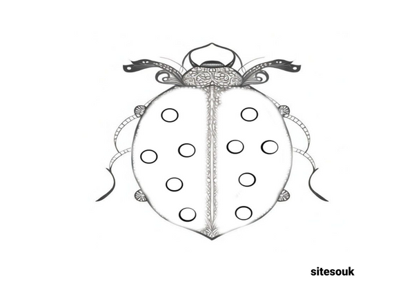Coloring Page of a Ladybug