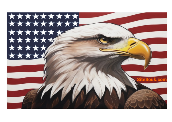 USA Flag Bald Eagle