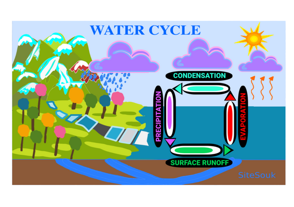 Water Cycle Animation